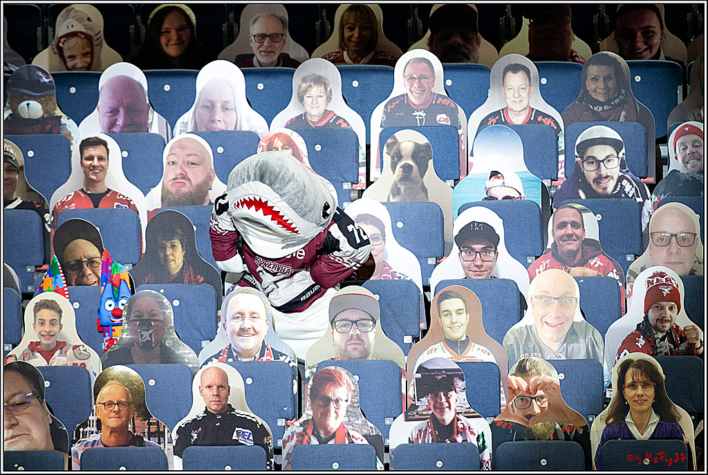 PENNY DEL;  Koelner Haie - Fischtown Pinguins Bremerhaven; Koeln, 12.02.2021